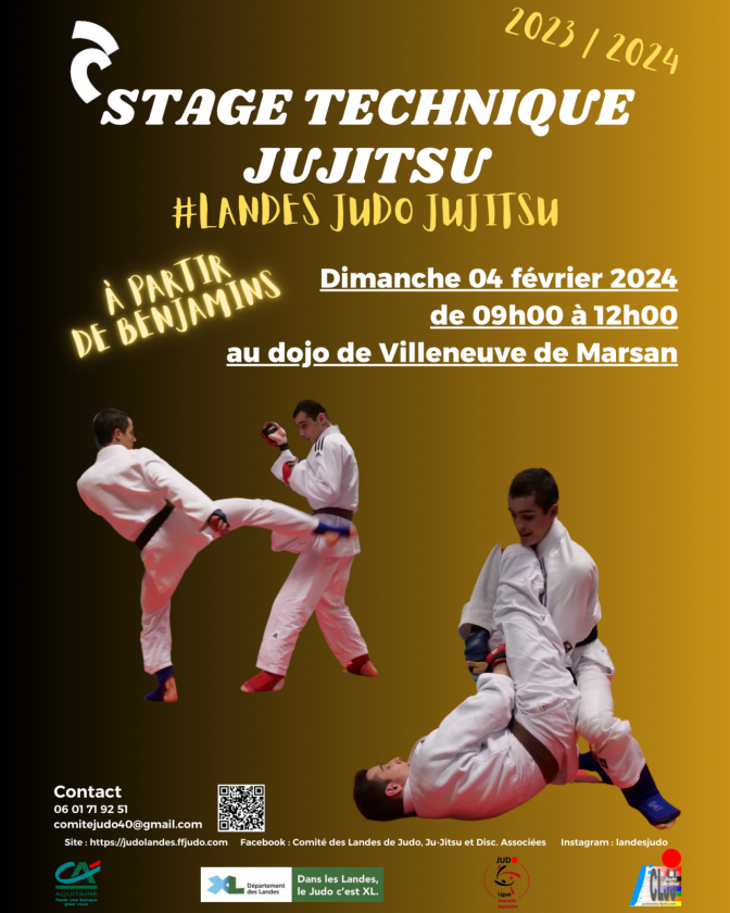Image de l'actu 'Le 04/02/2024 : stage Jujitsu à Villeneuve de Marsan !'