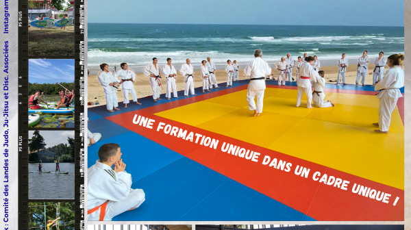 Stage Arbitrage des Landes Édition 2026 les 28, 29 et 30 août 2026 à Soustons (40)