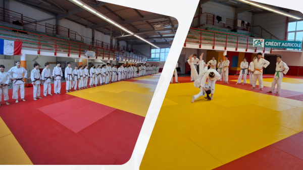 Stage Minimes Cadets  du 19 au 21 OCTOBRE 2026 - DAX